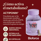 4. Lemme Burn - Quema grasa y activa metabolismo